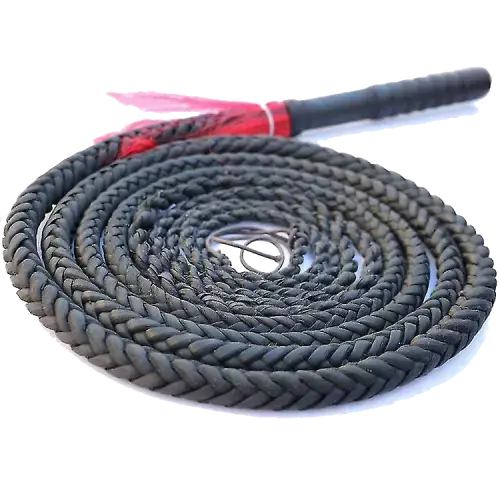 Bullwhip